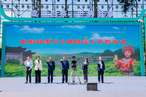 咸豐白茶區域公用品牌攜手《2023中國茶葉進出口貿易分析報告》同臺發布，助力貿易咨詢