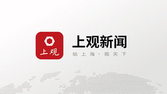臨港50條新政效應顯現 首個工作日咨詢熱絡企業注冊創新高