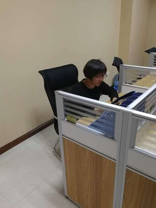 陳艷女士公司業務概覽 投資管理、資產管理及專業咨詢服務